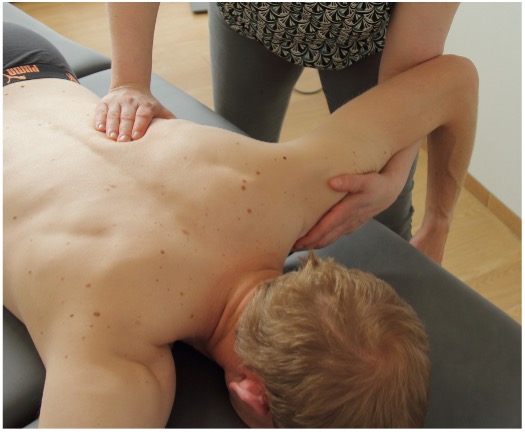 Ganzheitlicher Checkup